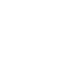 OneX